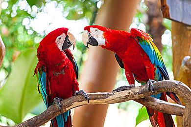 Capcom Arcade 2nd Stadium卡普空街机馆2登录PC！玩法、配置、问题及解决方法